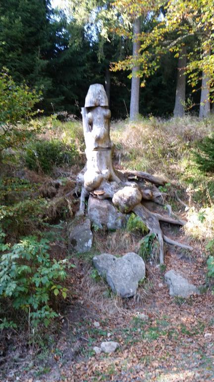 Harz-Zauber Apartment Braunlage Ngoại thất bức ảnh